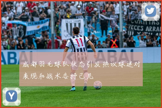 成都羽毛球队状态引发热议球迷对表现和战术各抒己见