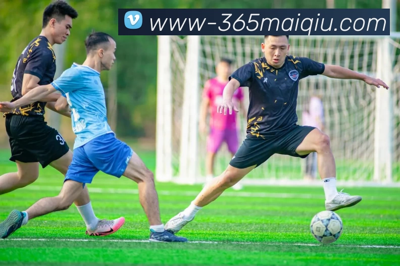 买球官网入口平台生态图