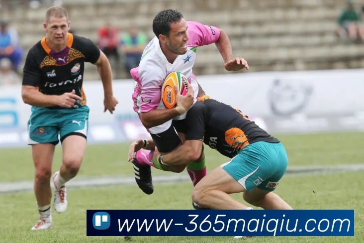 买球官网入口全站App